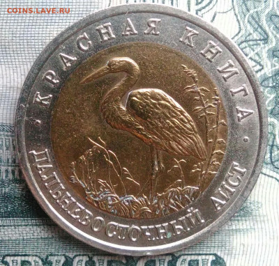50 рублей 1993 года Аист до 10.11.2025 - IMG_20251107_152843