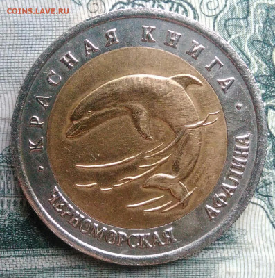 50 рублей 1993 года Афалина до 10.11.2025 - IMG_20251107_152914