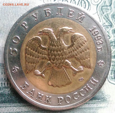 50 рублей 1993 года Афалина до 10.11.2025 - IMG_20251107_152930