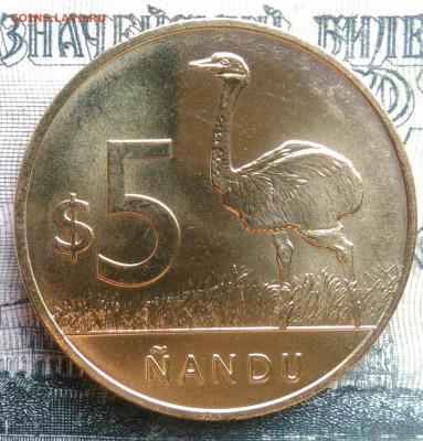 Уругвай 5 песо 2019 года до 10.11.2025 - IMG_20251102_203036