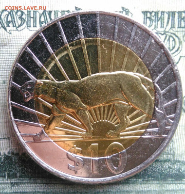 Уругвай 10 песо 2015 года до 10.11.2025 - IMG_20251102_203104