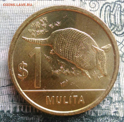 Уругвай 1 песо 2019 года до 10.11.2025 - IMG_20251102_203134