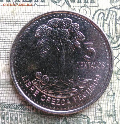 Гватемала 5 сентаво 2022 года до 10.11.2025 - IMG_20251102_210513