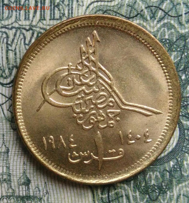 Египет 1 пиастр 1984 года до 10.11.2025 - IMG_20251104_212418