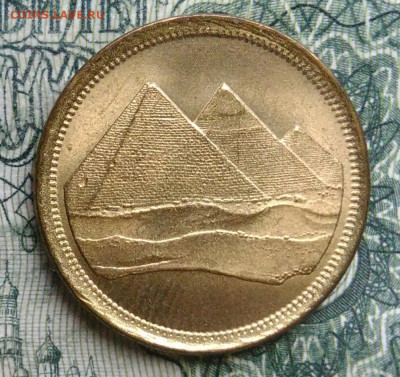 Египет 1 пиастр 1984 года до 10.11.2025 - IMG_20251104_212435