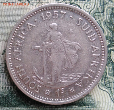 ЮАР 1 шиллинг 1957 года до 10.11.2025 - IMG_20251105_215328