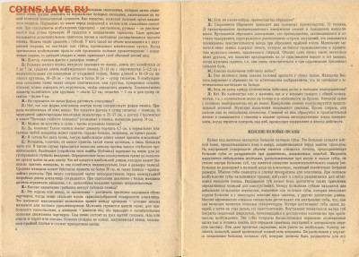 "Энциклопедия половой жизни" 1990г. - энциклопедия половой жизни 3