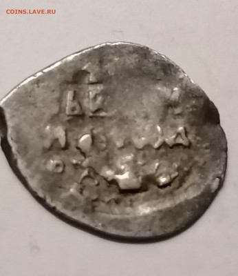 Чешуйки на определение - IMG_20251107_195523