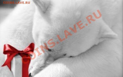 Познакомлюсь с девушкой .... - 100_0078