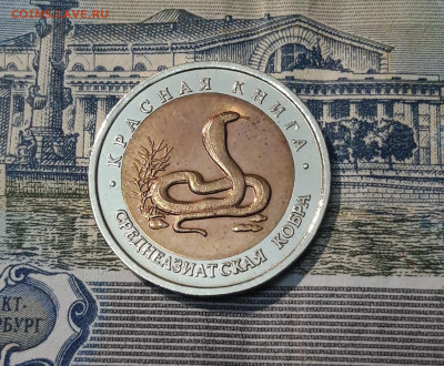 10 рублей 1992 года СРЕДНЕАЗИАТСКАЯ КОБРА До 14.11 - 20250416_215032