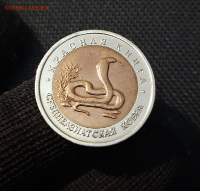 10 рублей 1992 года СРЕДНЕАЗИАТСКАЯ КОБРА До 14.11 - 20250416_215007