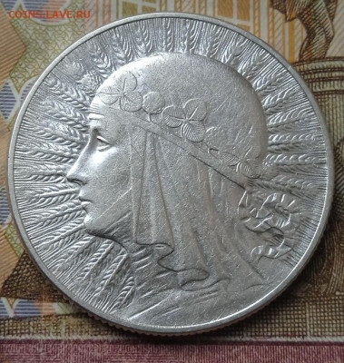 5 злотых 1934г. Голова Полонии - photo_2025-05-21_15-52-42