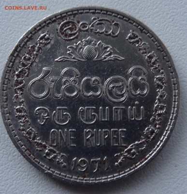 1 рупия Шри- Ланка 1971г. до 13.11. в 22:00мск. - DSC02590.JPG