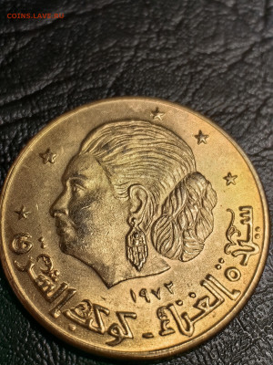 Помогите определить! Не могу разобраться - IMG_20251108_181451