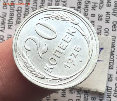 7) 20к 1925к 14.11.25 22.00 МСК . - IMG_7548