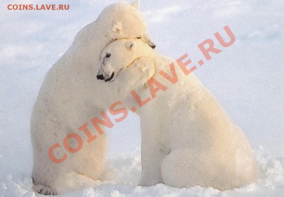 Познакомлюсь с девушкой .... - 100_0174