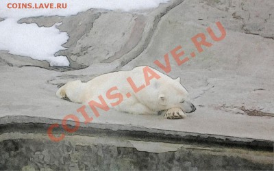 Познакомлюсь с девушкой .... - 100_0103