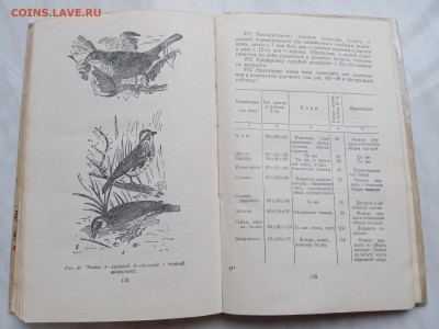Советы по домоводству 1958 г до 15.11.25 в 22:00 по мск - IMG_20251109_085514