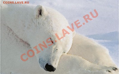 Познакомлюсь с девушкой .... - 100_0187