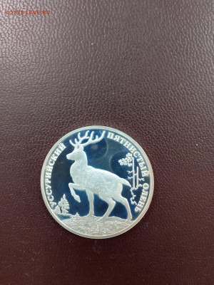 РФ Серебро 925 15,55 г. 2010 Уссурийский пятнистый олень - deer-r