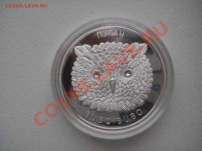 Беларусь 20 рублей 2010  Филин, Филины серебро - PICT5896.JPG