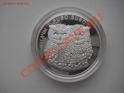 Беларусь 20 рублей 2010  Филин, Филины серебро - PICT5895.JPG