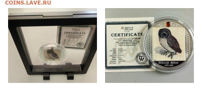 500фр 2021 Камерун Дюрер Маленькая сова, Ag999, до 16.11 - Ч Дюрер Сова-0