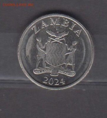 Замбия 2024 5 квач лев ( без оборота) до 15 11 - 757