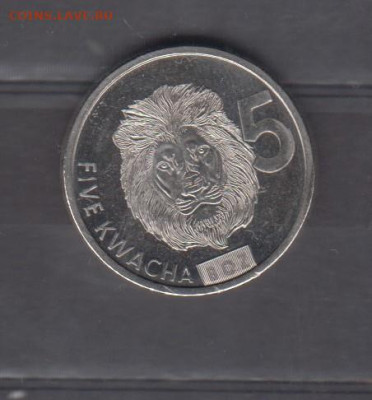 Замбия 2024 5 квач лев ( без оборота) до 15 11 - 757а