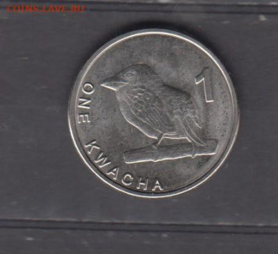 Замбия 2024 1 кв птица  ( без оборота) до 15 11 - 759