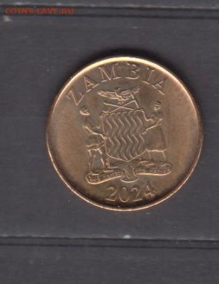 Замбия 2024 50 нгве слон  ( без оборота) до 15 11 - 760