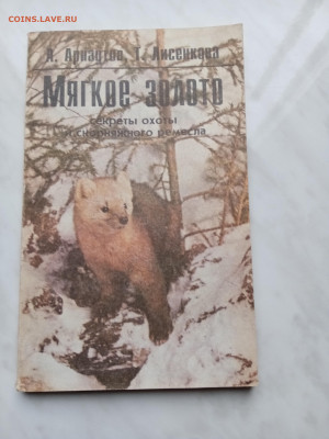 Шубно меховой промысел и мягкое золото до 16.11.25 в 22:00 п - IMG_20251110_124856