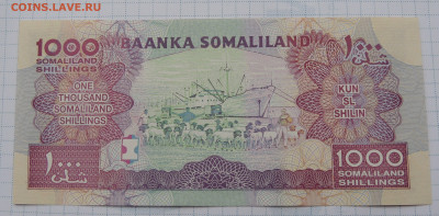 Сомалиленд 1000 шиллингов 2014 до 16.11.2025 - Сомалиленд 1000 шиллингов 2014 .JPG