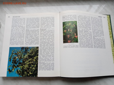 Лесная энциклопедия т1 до 16.11.25 в 22:00 по мск - IMG_20251110_142410