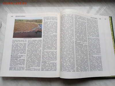 Лесная энциклопедия т1 до 16.11.25 в 22:00 по мск - IMG_20251110_142405