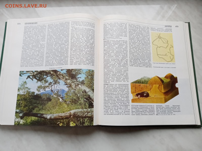 Лесная энциклопедия т1 до 16.11.25 в 22:00 по мск - IMG_20251110_142357