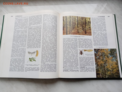 Лесная энциклопедия т1 до 16.11.25 в 22:00 по мск - IMG_20251110_142353