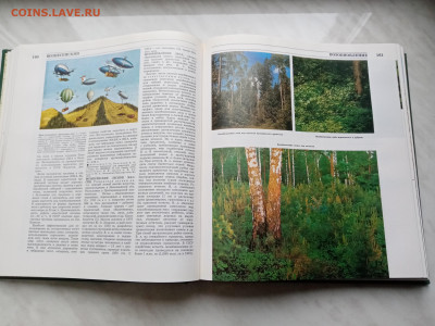 Лесная энциклопедия т1 до 16.11.25 в 22:00 по мск - IMG_20251110_142344