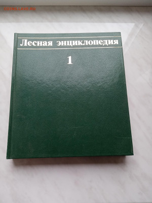 Лесная энциклопедия т1 до 16.11.25 в 22:00 по мск - IMG_20251110_142329