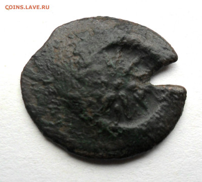 Пантикапей Перисад II,Обол - SAM_1994.JPG