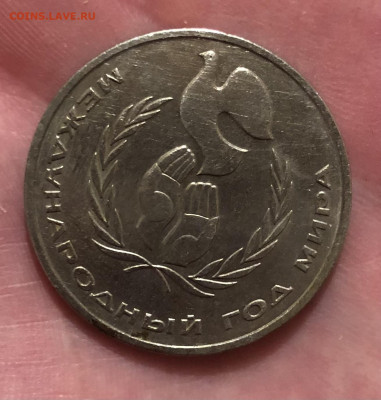 1р Год Мира Шалаш 16.11.25 22.00 МСК . - IMG_7583