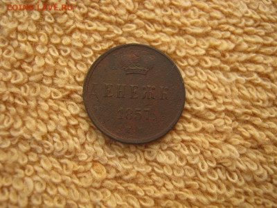 Денежка 1857 ЕМ до 22-00 МСК 17.11.25 - IMG_5601.JPG