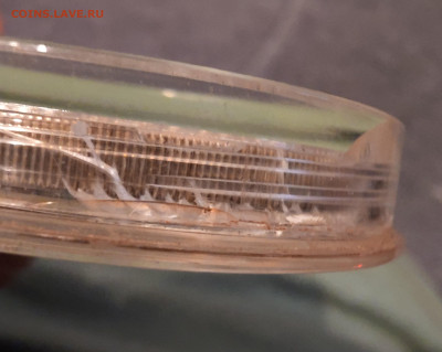 Сам брак - 1112_000348