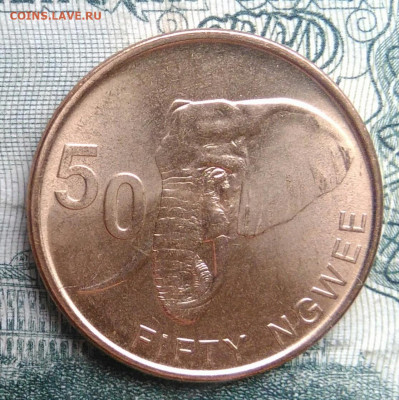 Замбия 50 нгве 2024 года до 17.11.2025 - IMG_20251111_164038