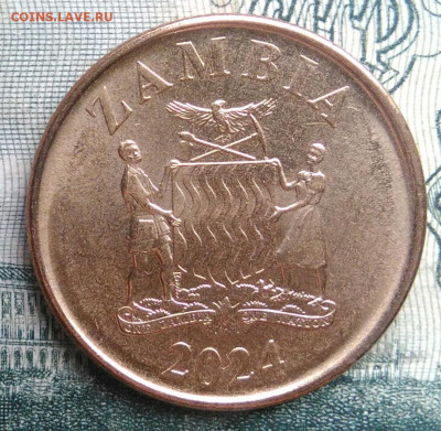 Замбия 50 нгве 2024 года до 17.11.2025 - IMG_20251111_164053