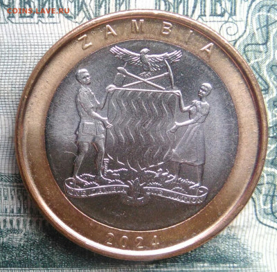 Замбия 2 квача 2024 года до 17.11.2025 - IMG_20251111_164107