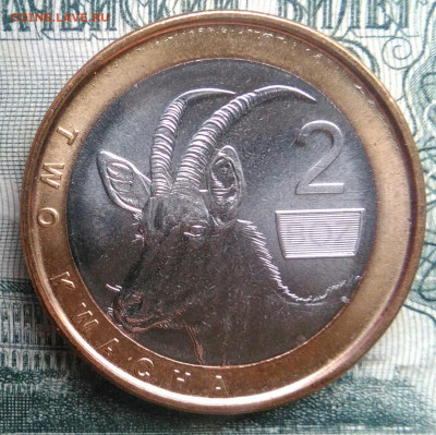 Замбия 2 квача 2024 года до 17.11.2025 - IMG_20251111_164123