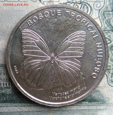 Коста-Рика 50 колон 2023 года бабочка до 17.11.2025 - IMG_20251111_163712