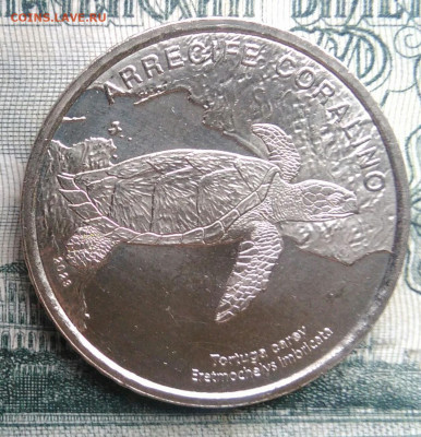 Коста-Рика 50 колон 2023 года черепаха до 17.11.2025 - IMG_20251111_161748