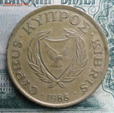 Кипр 10 центов 1988 года до 17.11.2025 - IMG_20251111_220558